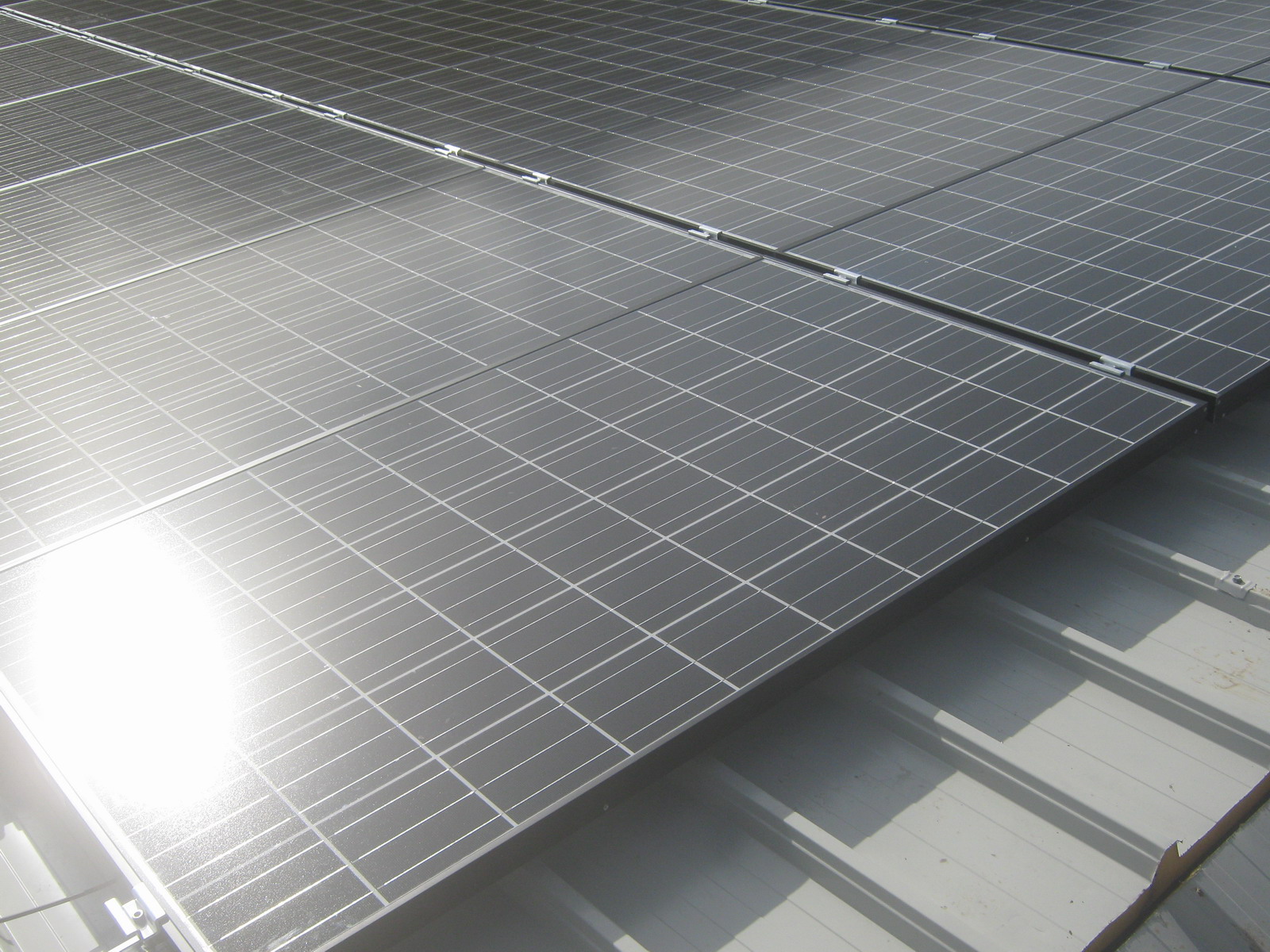 Impianto FV 20 Kwp - Camillo 1 (Capannone)